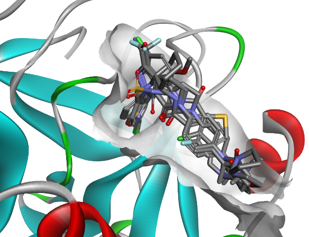 タンパク質受容体に対する小分子リガンドのポーズ解析