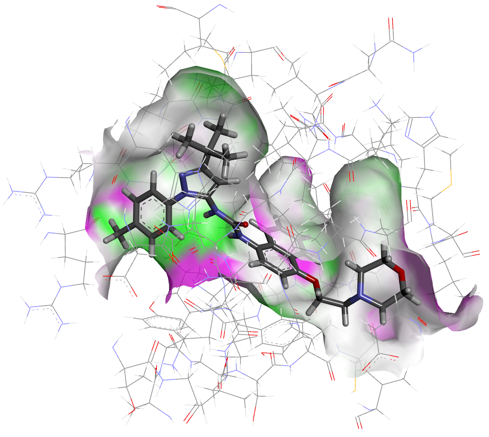 タンパク質受容体と小分子リガンドにおける水素結合ドナー/アクセプター配位