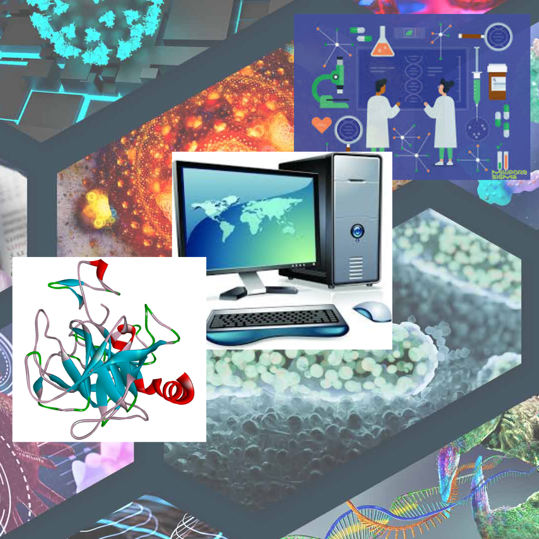 Cover Image for タンパク質間ドッキングによる複合体モデリング